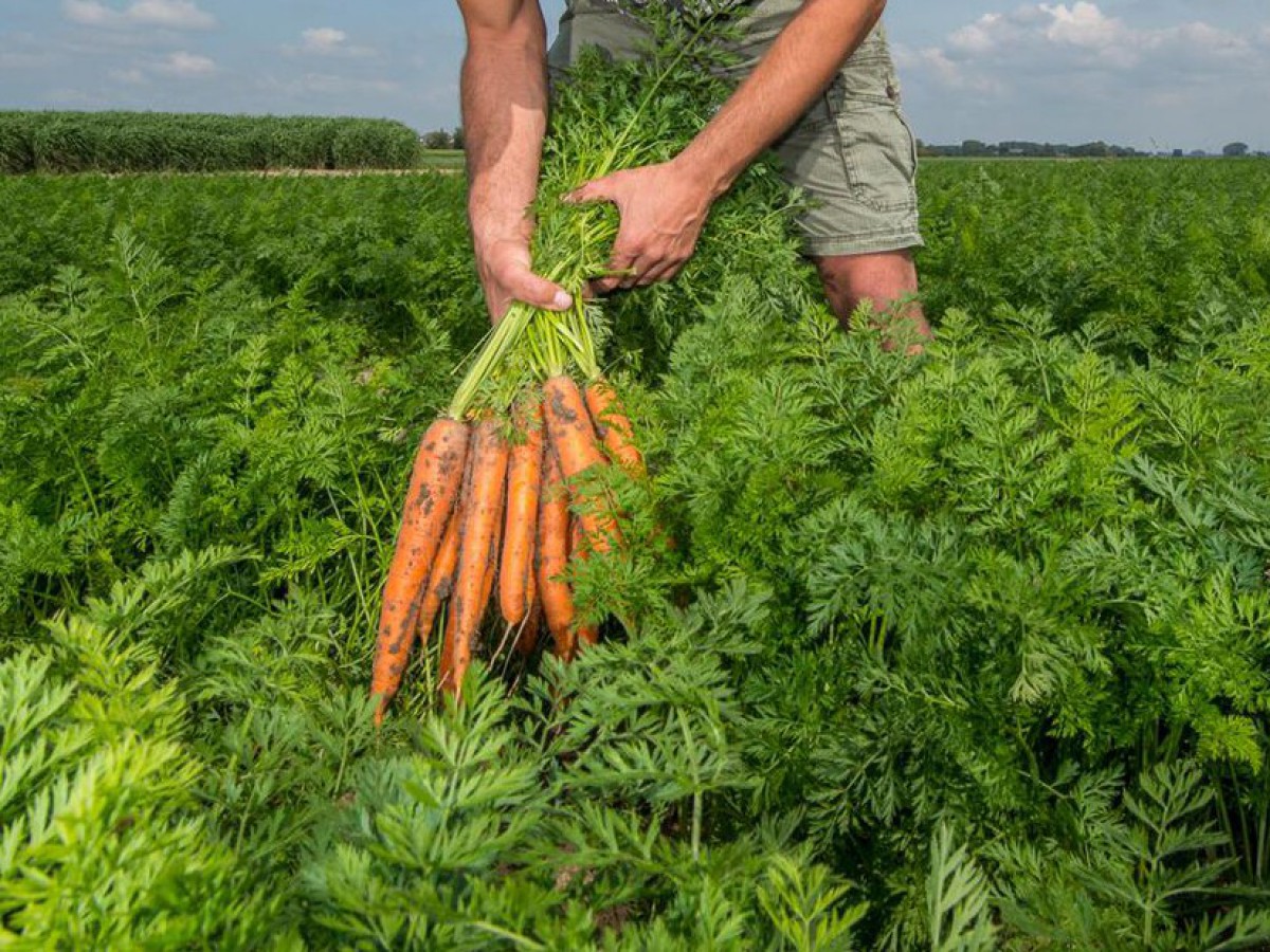 Eerlijke prijs