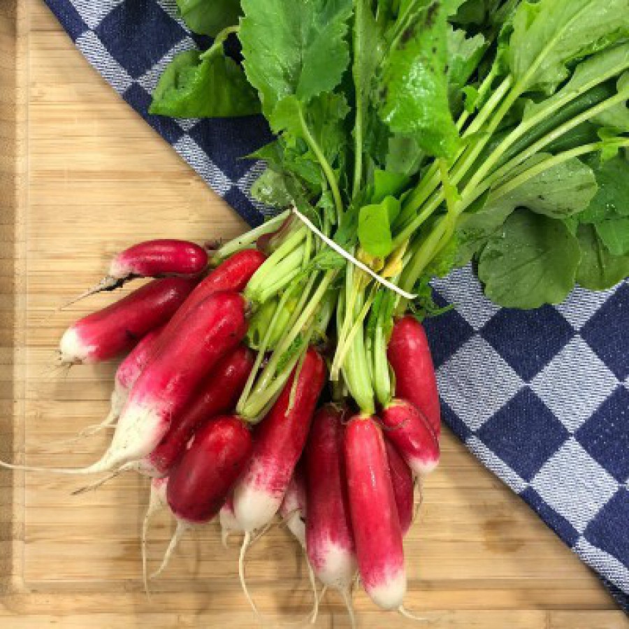 De Radijs Goed Voor Je Weerstand