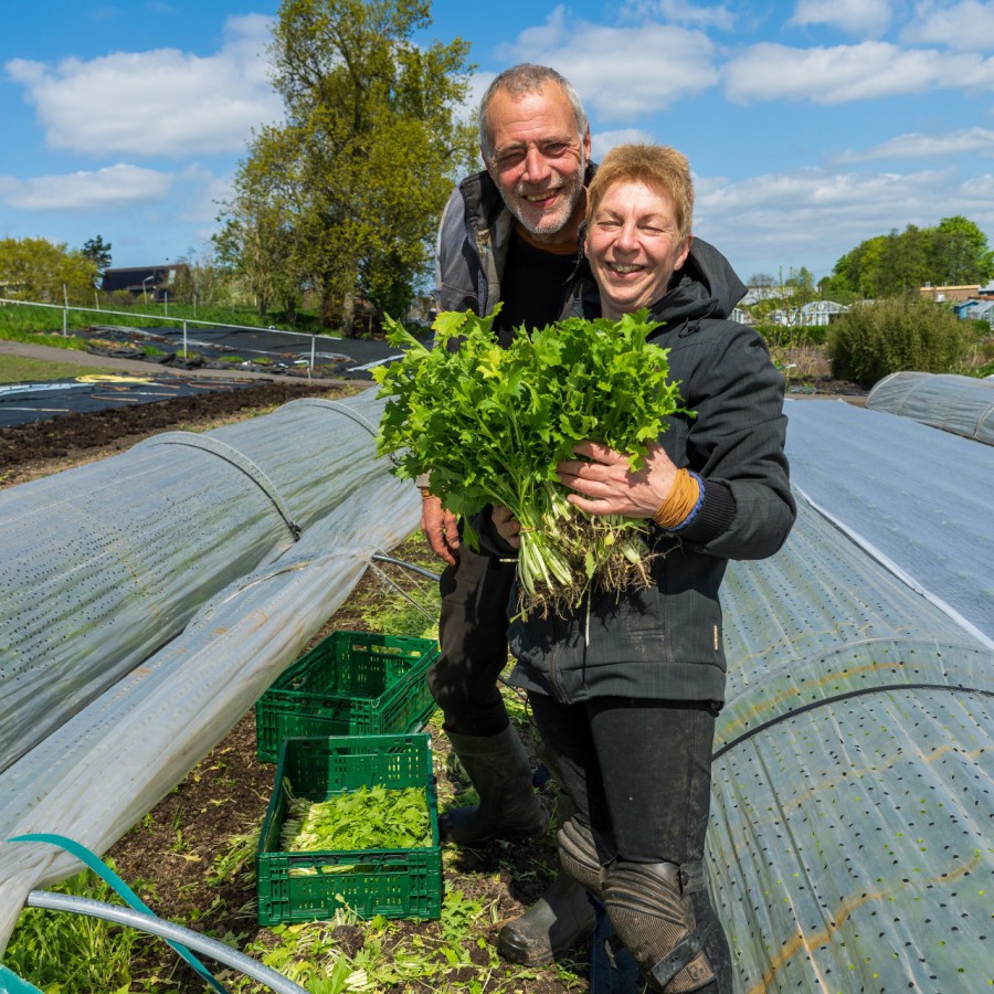 Op bezoek bij tuinderij Natuurluck