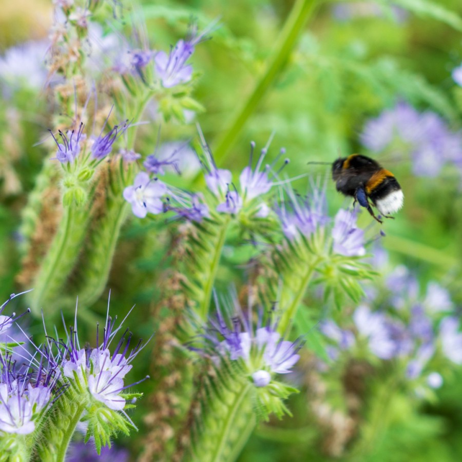 Telen met de natuur