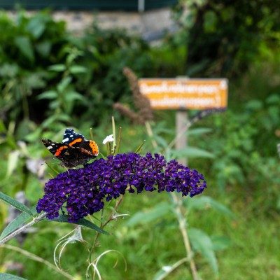 Biodiversiteit bij de boer