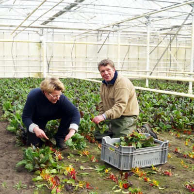 Op bezoek bij Janneke en Cees Klootwijk