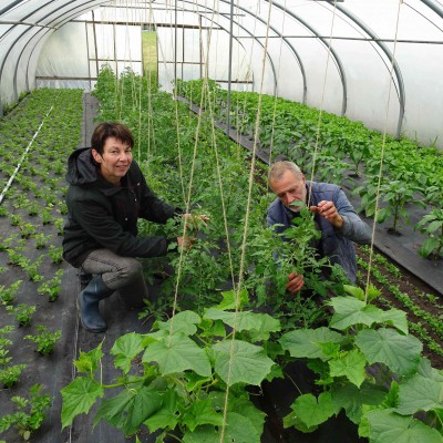 Op bezoek bij tuinderij Natuurluck