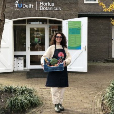 Rechtstreex Hortus Delft