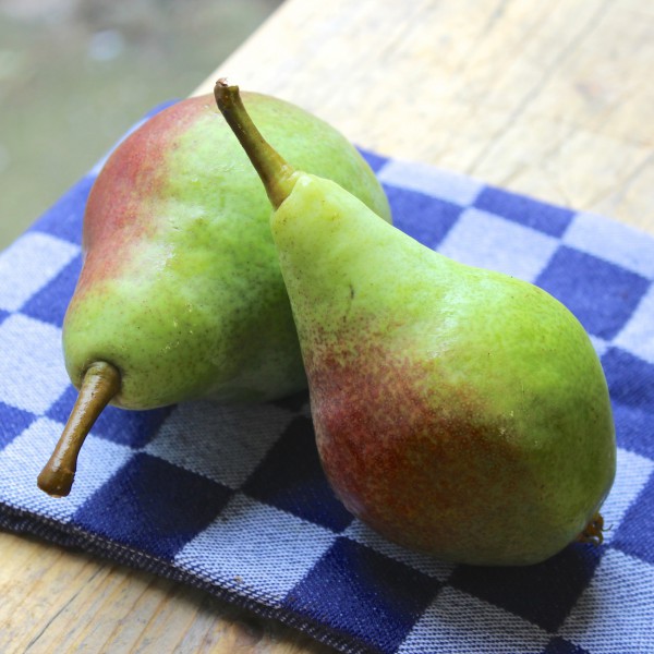 Wat je moet weten over peren